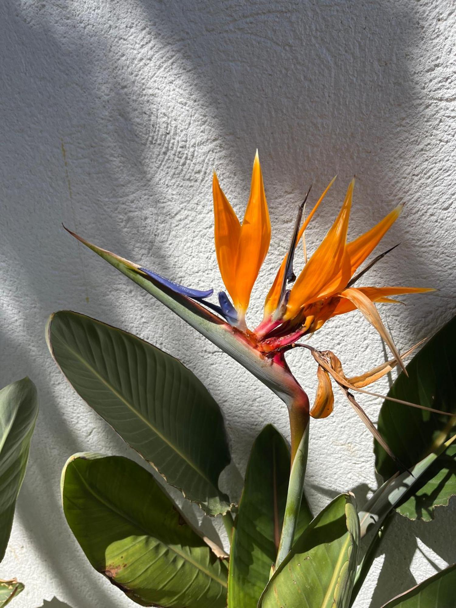 Casa Mediterranea Con Piscina Privada, Playa Isla Del Fraile Holiday home *